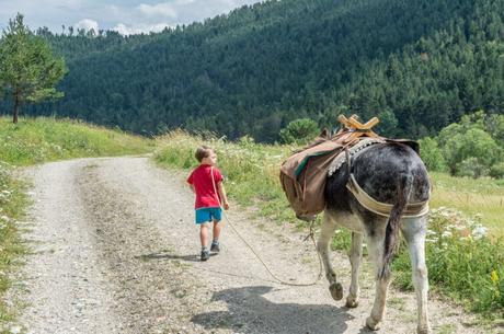7 inolvidables viajes familiares de aventura Paseo en burro en el parque Chartreuse