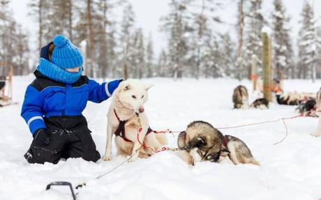 7 inolvidables viajes familiares de aventura excursión en trineo tirado por perros para niños