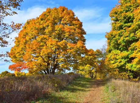 15 mejores cosas para hacer en Raynham (Massachusetts) 15 mejores cosas para hacer en Raynham (Massachusetts)