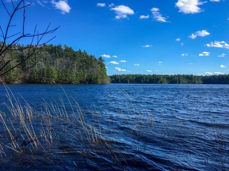 15 mejores cosas para hacer en Raynham (Massachusetts) 15 mejores cosas para hacer en Raynham (Massachusetts)