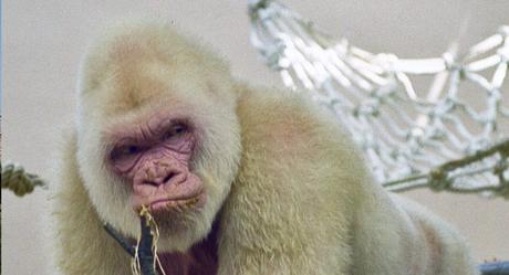 Planes que hacer en Barcelona en un fin de semana en familia Planes que hacer en Barcelona en un fin de semana en familia