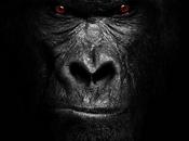 Extreme Banshee (2023)