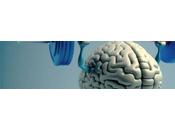 ejercicio mejora salud cerebro mediante señales químicas, según estudio