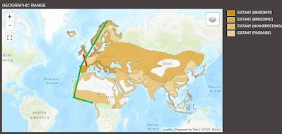 Vientos del este y archibebes