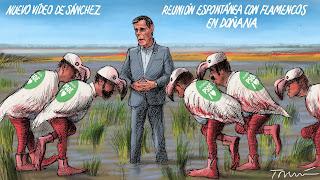 De la necesidad de una nueva política para la UE De la necesidad de una nueva política para la UE