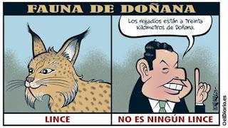 De cómo la familia, nada