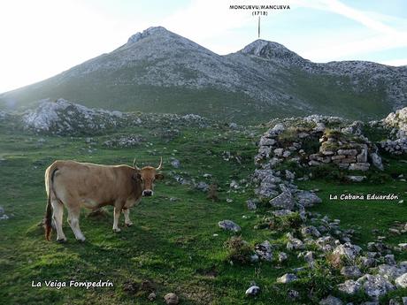 L´Angliru-El Cagachoneiru-Braña Mortera-El Gamonal
