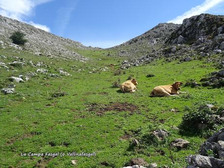 L´Angliru-El Cagachoneiru-Braña Mortera-El Gamonal