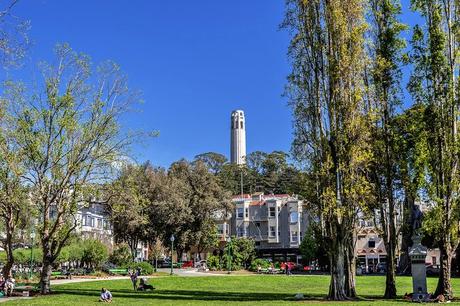 Los 10 mejores parques de San Francisco Plaza Washington
