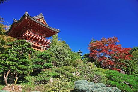 Los 10 mejores parques de San Francisco Jardín de té japonés en el parque Golden Gate