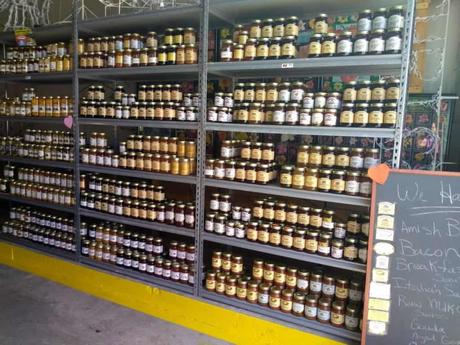 15 mejores cosas que hacer en el alberca Alfred (FL) 15 mejores cosas que hacer en el alberca Alfred (FL)