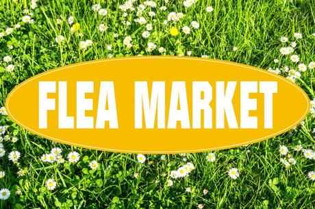 15 mejores cosas que hacer en el alberca Alfred (FL) 15 mejores cosas que hacer en el alberca Alfred (FL)