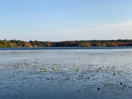 15 mejores cosas para hacer en Holliston (Massachusetts) 15 mejores cosas para hacer en Holliston (Massachusetts)