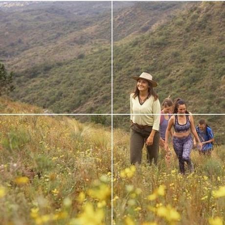 Sofía Palacios, la niña del monte Sofía Palacios, la niña del monte