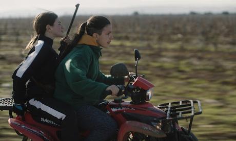 Visions du Réel 2023 - Parte 1: Faunas y humanos