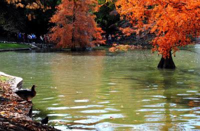 ¿Por qué nos hace tan bien rodearnos de naturaleza?