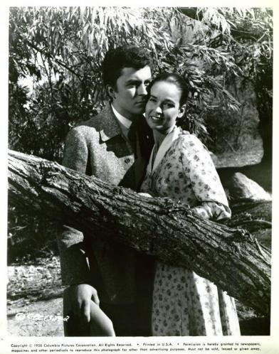 El cine de las personalidades: un acercamiento a Phil Karlson (por triplicado). Trágica información / Calle River 99 / El salario de la violencia