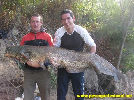 com-sum PESCANDO AL PELLET