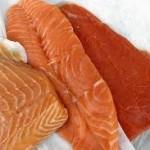 Super alimentos para mantener el cerebro y el cuerpo en forma Super alimentos para mantener el cerebro y el cuerpo en forma