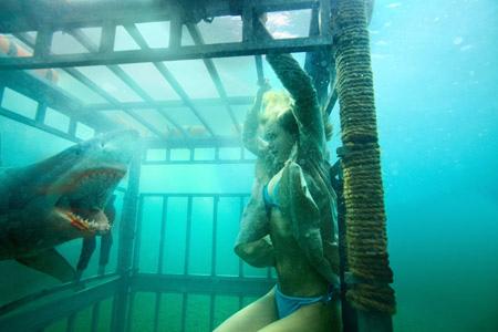 Tiburón 3D: La Presa -estas cosillas no nos las podemos tomar en serio