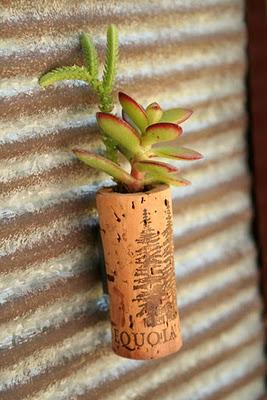 Imanes con corchos y suculentas