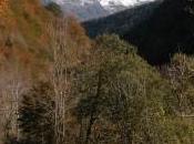 incierto camino felicidad…