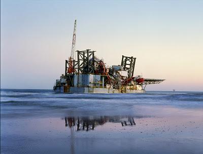 Prix Pictet en el Real Jardín Botánico de Madrid