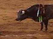 Toros México: Temporada Grande*