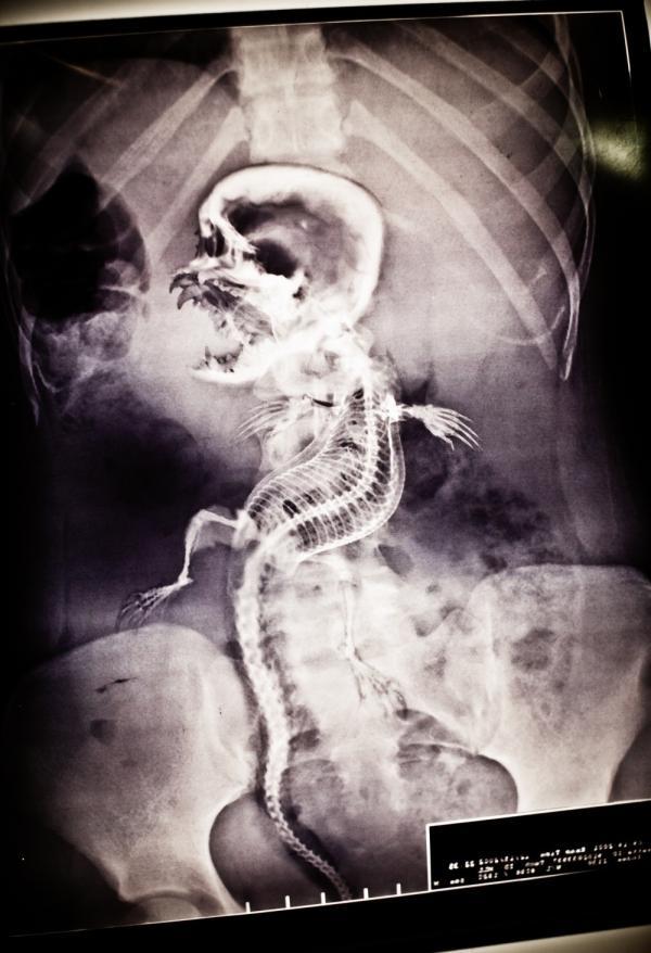 Hidden 3D nuevo poster y primer trailer