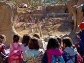 Bioparc Valencia propone viaje África para pequeños casa