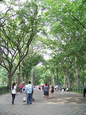 Qué ver en Nueva York en solo 3 días:Día 1, 2ª parte