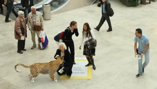 Acción de realidad aumentada para National Geographic