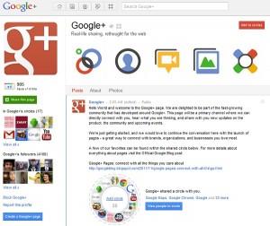 Página G+ Google