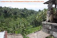 Bali, centro de la Isla I