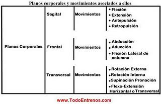 PROYECTO DE ESTIMULACIÓN BEBÉS EN TRES NIVELES