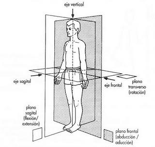 PROYECTO DE ESTIMULACIÓN BEBÉS EN TRES NIVELES