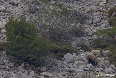 ¿Cómo se lo voy a contar a mi hijo?
