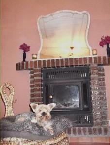 Reaprovecha todo lo que puedas