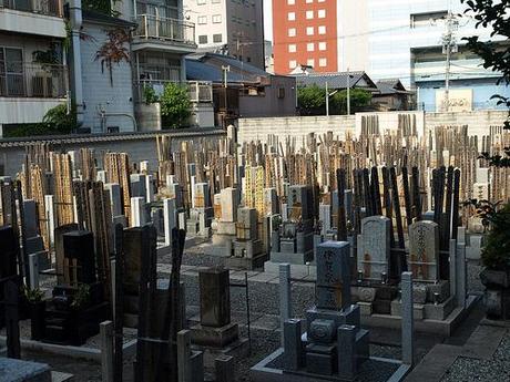 Los Viajes de Abarciela