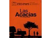 acacias