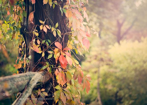 La frase que inspira…