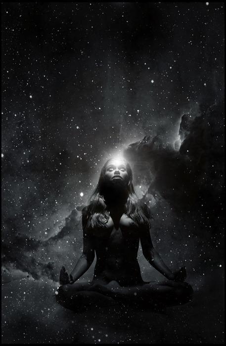 Significado & Camaleón