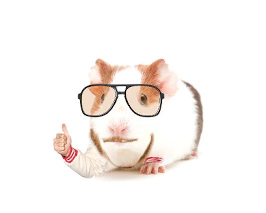 ADIVINA QUIÉN ES QUIÉN