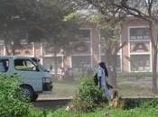 “Bonjour, papa”.