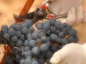 Todo vuelve...por desgracia!!