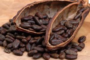 El cacao y la PEA o la hormona del “amor”