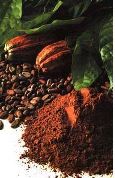 El cacao y la PEA o la hormona del “amor”