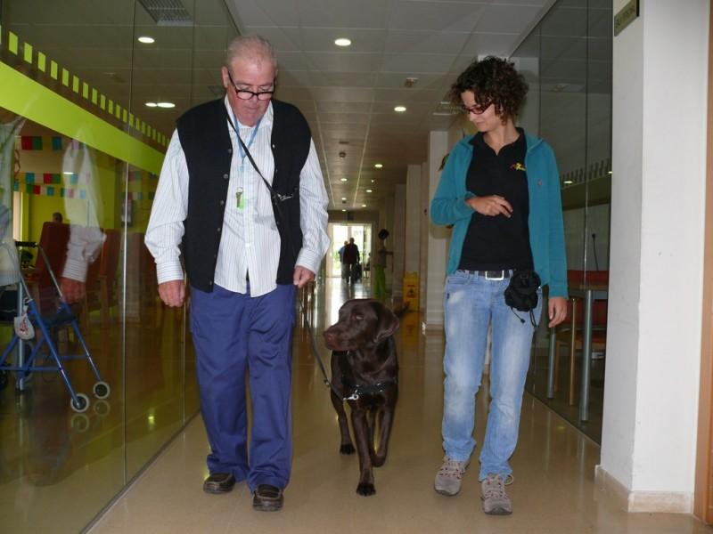 “Los animales no juzgan a las personas que padecen una demencia”