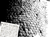 Taonos, literatura fantástica