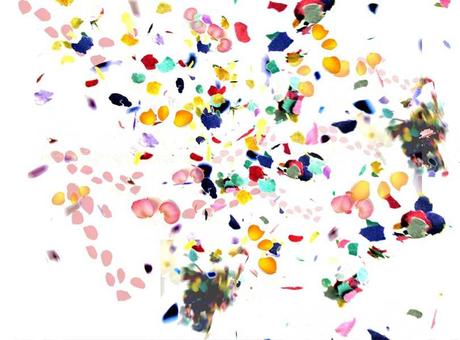 tempsdeflors98 Propuesta para Temps de Flors